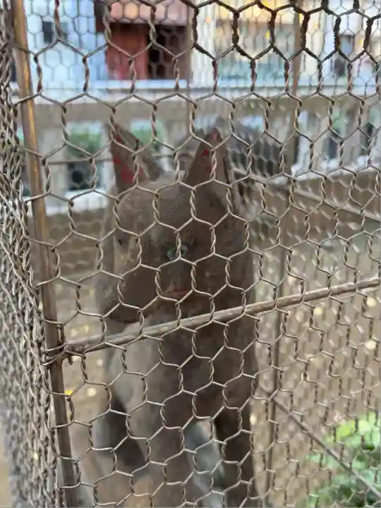 千種稲荷神社(東京都)