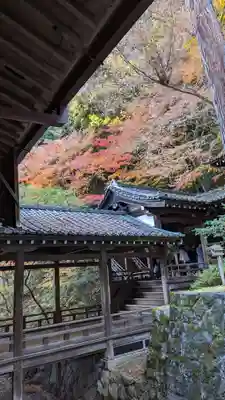 禅林寺(永観堂)(京都府)