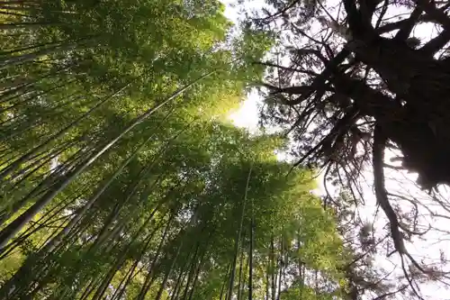 日枝神社の自然