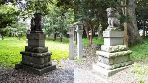 深川神社の狛犬