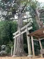 水神社(千葉県)