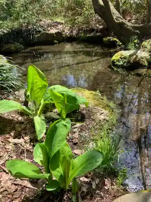 清池八幡神社(山形県)