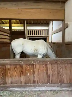 金刀比羅宮(香川県)