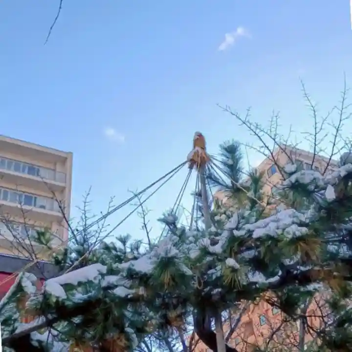 彌彦神社 (伊夜日子神社)(北海道)
