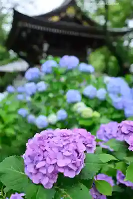 妙楽寺(神奈川県)