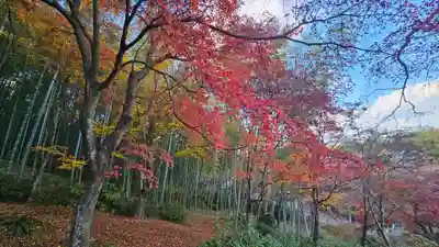 天龍寺(京都府)