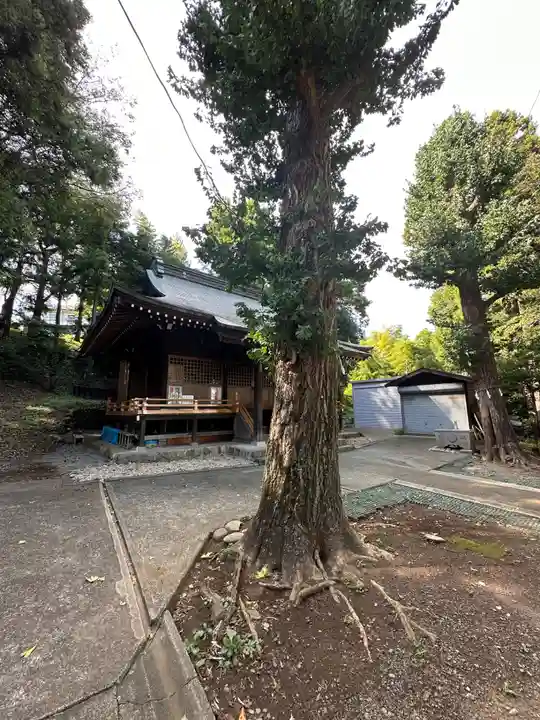 熊野神社(東京都)