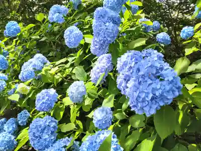 古谷館八幡神社(宮城県)