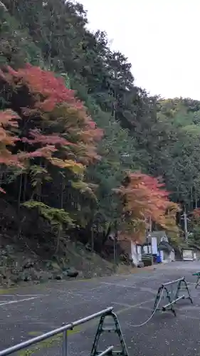 善峯寺(京都府)