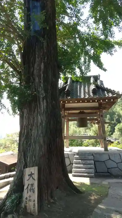 法専寺のその他建物