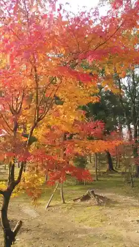 仁和寺の自然