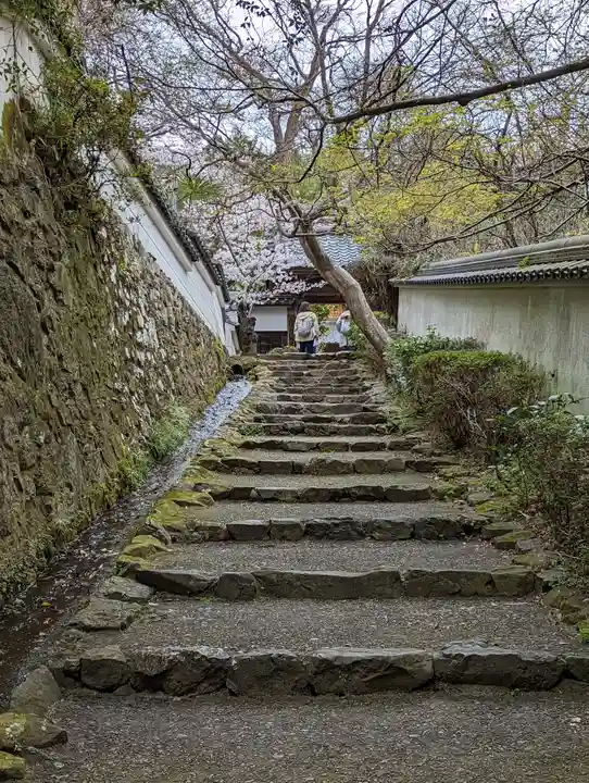 勝持寺(花の寺)(京都府)