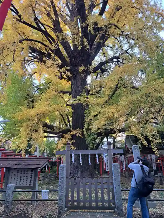 鬼子母神堂 (法明寺)(東京都)