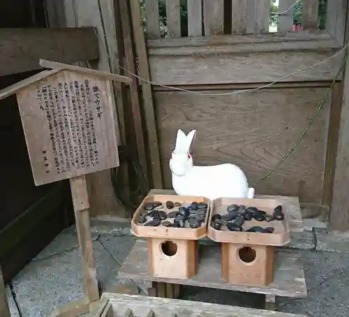 都農神社の狛犬