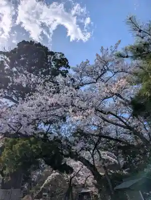 日高神社の{uncategorized: "未分類", other: "その他", undefined: "問題あり", building: "その他建物", grave: "お墓", sacred_gate: "鳥居", guardian: "狛犬", statue: "像", buddha: "仏像", history: "歴史", nature: "自然", garden: "庭園", animal: "動物", pagoda: "塔", temizu: "手水舎", mountain_gate: "山門・神門", sanctuary: "本殿・本堂", subordinate: "末社・摂社", art: "芸術", scenery: "景色", jizo: "地蔵", ema: "絵馬", goshuin: "御朱印", omikuji: "おみくじ", items: "授与品その他", amulet: "お守り", goshuincho: "御朱印帳", eats: "食事", festival: "お祭り", votive_dance: "神楽", shichigosan: "七五三参", wedding: "結婚式", experience: "体験その他", initially: "初詣", around: "周辺", anti_infection: "感染症対策"}