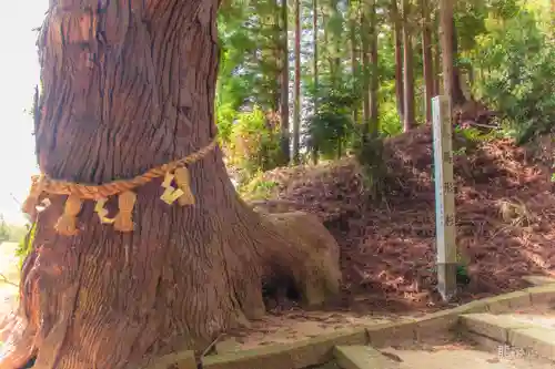 大崎八幡神社(宮城県)