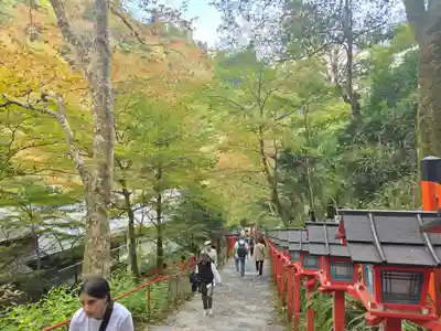 貴船神社奥宮(京都府)