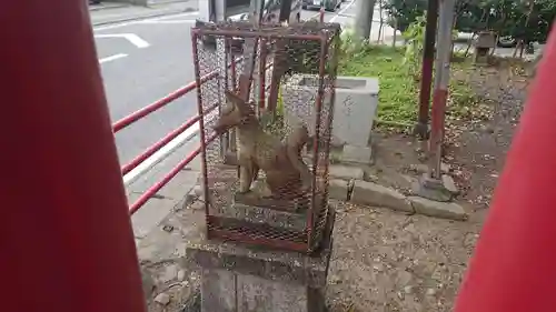 和物所稲荷神社の狛犬