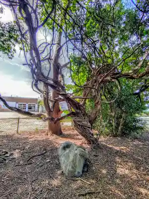 熱田社（稲荷町）の自然