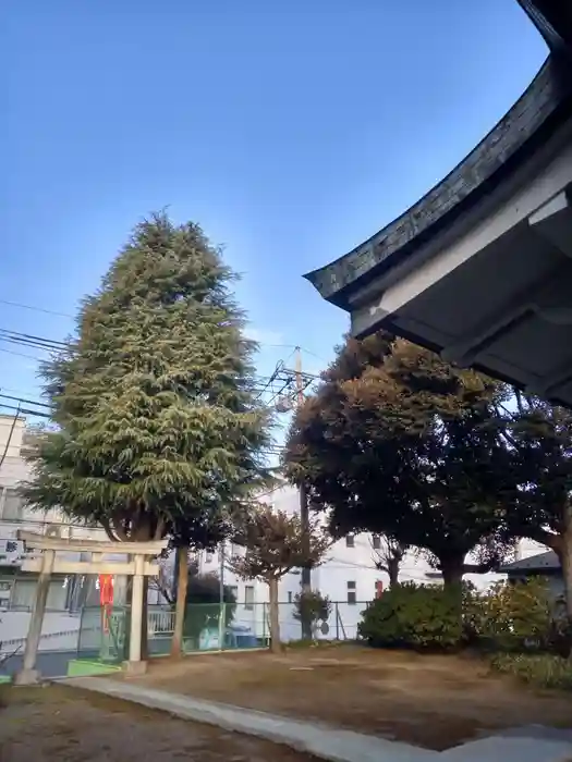 浅間神社の鳥居