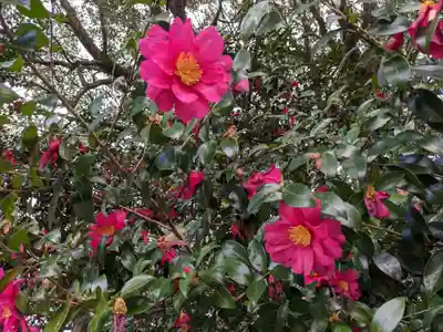 愛宕社(愛知県)