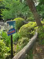 鳩森八幡神社(東京都)