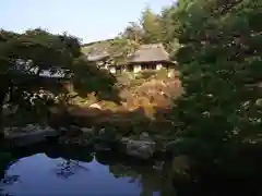 等持院の庭園