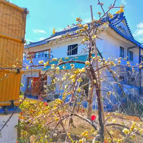寿量山　速成寺(奈良県)