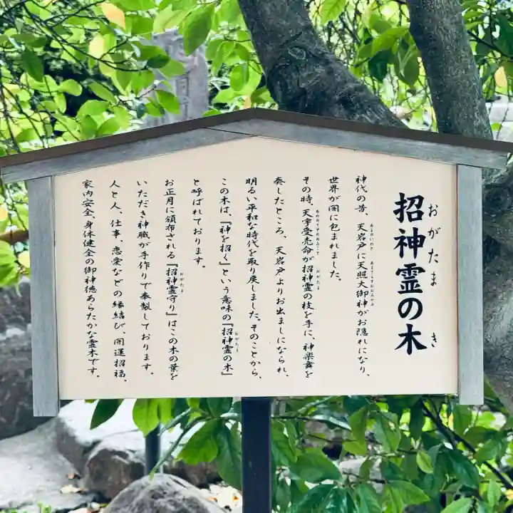 鎮守氷川神社(埼玉県)