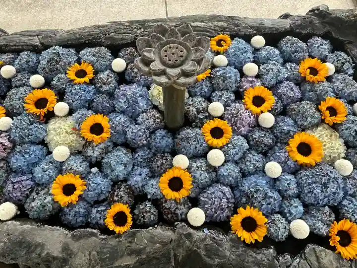 常念寺(愛知県)