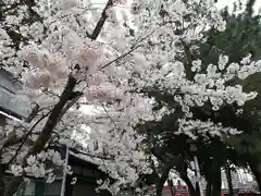 真清田神社の景色