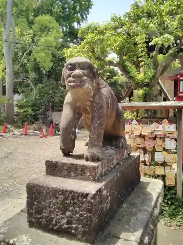 龍ケ崎八坂神社の狛犬