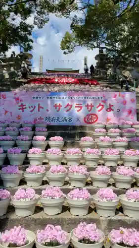 防府天満宮の{uncategorized: "未分類", other: "その他", undefined: "問題あり", building: "その他建物", grave: "お墓", sacred_gate: "鳥居", guardian: "狛犬", statue: "像", buddha: "仏像", history: "歴史", nature: "自然", garden: "庭園", animal: "動物", pagoda: "塔", temizu: "手水舎", mountain_gate: "山門・神門", sanctuary: "本殿・本堂", subordinate: "末社・摂社", art: "芸術", scenery: "景色", jizo: "地蔵", ema: "絵馬", goshuin: "御朱印", omikuji: "おみくじ", items: "授与品その他", amulet: "お守り", goshuincho: "御朱印帳", eats: "食事", festival: "お祭り", votive_dance: "神楽", shichigosan: "七五三参", wedding: "結婚式", experience: "体験その他", initially: "初詣", around: "周辺", anti_infection: "感染症対策"}