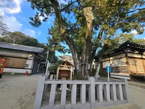素盞嗚尊神社（江坂神社）の{uncategorized: "未分類", other: "その他", undefined: "問題あり", building: "その他建物", grave: "お墓", sacred_gate: "鳥居", guardian: "狛犬", statue: "像", buddha: "仏像", history: "歴史", nature: "自然", garden: "庭園", animal: "動物", pagoda: "塔", temizu: "手水舎", mountain_gate: "山門・神門", sanctuary: "本殿・本堂", subordinate: "末社・摂社", art: "芸術", scenery: "景色", jizo: "地蔵", ema: "絵馬", goshuin: "御朱印", omikuji: "おみくじ", items: "授与品その他", amulet: "お守り", goshuincho: "御朱印帳", eats: "食事", festival: "お祭り", votive_dance: "神楽", shichigosan: "七五三参", wedding: "結婚式", experience: "体験その他", initially: "初詣", around: "周辺", anti_infection: "感染症対策"}