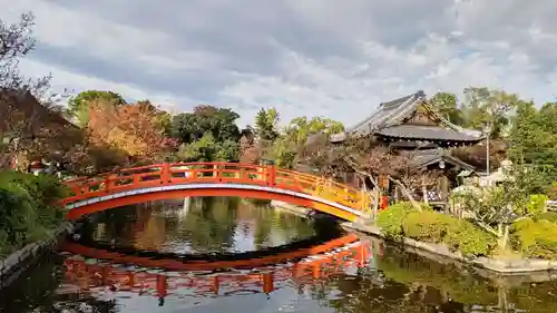 神泉苑の景色