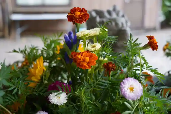 滑川神社 - 仕事と子どもの守り神の手水舎