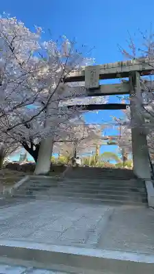 飛幡八幡宮の{uncategorized: "未分類", other: "その他", undefined: "問題あり", building: "その他建物", grave: "お墓", sacred_gate: "鳥居", guardian: "狛犬", statue: "像", buddha: "仏像", history: "歴史", nature: "自然", garden: "庭園", animal: "動物", pagoda: "塔", temizu: "手水舎", mountain_gate: "山門・神門", sanctuary: "本殿・本堂", subordinate: "末社・摂社", art: "芸術", scenery: "景色", jizo: "地蔵", ema: "絵馬", goshuin: "御朱印", omikuji: "おみくじ", items: "授与品その他", amulet: "お守り", goshuincho: "御朱印帳", eats: "食事", festival: "お祭り", votive_dance: "神楽", shichigosan: "七五三参", wedding: "結婚式", experience: "体験その他", initially: "初詣", around: "周辺", anti_infection: "感染症対策"}