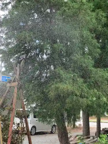 置賜郡総鎮守 一宮神社(山形県)