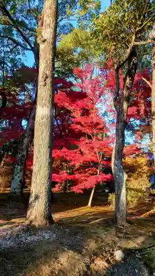 仁和寺(京都府)