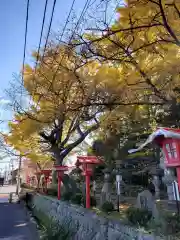 神炊館神社 ⁂奥州須賀川総鎮守⁂の建物その他