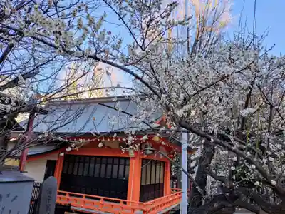 花園神社(東京都)