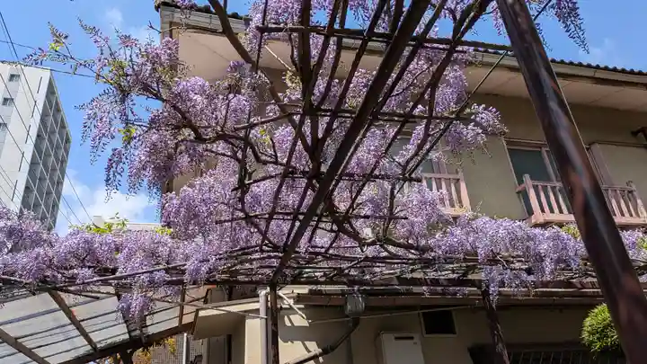 妙壽禅寺(妙寿寺)(大阪府)