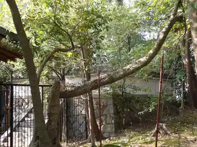 天照御魂神社のその他建物