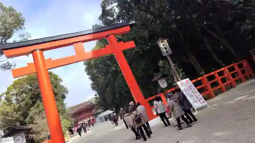 賀茂御祖神社（下鴨神社）の鳥居