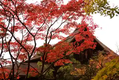 天授庵(京都府)