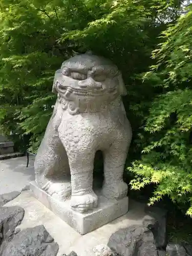 晴明神社の狛犬