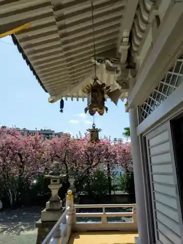 荘厳寺(東京都)