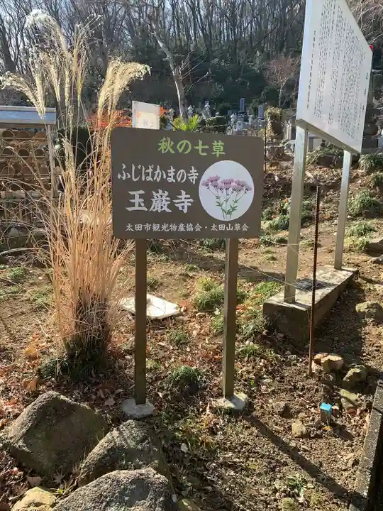 玉巌寺(群馬県)