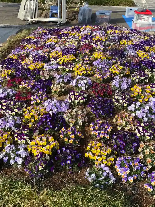 西新井大師総持寺の自然