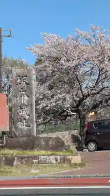 小唐崎神社(滋賀県)